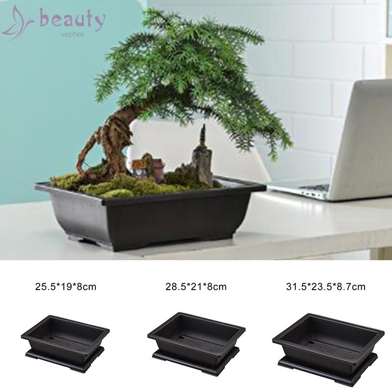 Chậu đựng cây bonsai dùng trang trí tiện dụng chất lượng cao