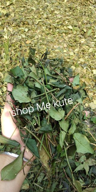 chè vằng túi lọc 2 bịch | BigBuy360 - bigbuy360.vn