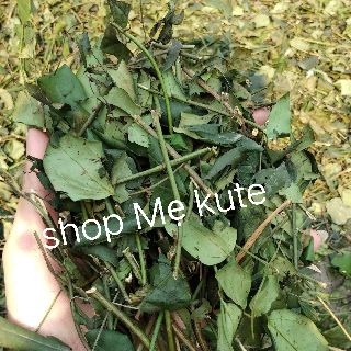 chè vằng túi lọc 2 bịch