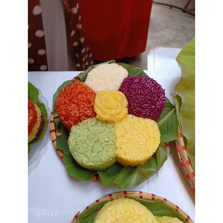 🌱🌱🌱 CÂY GIỐNG LÁ CẨM TÍM 🌱🌱🌱