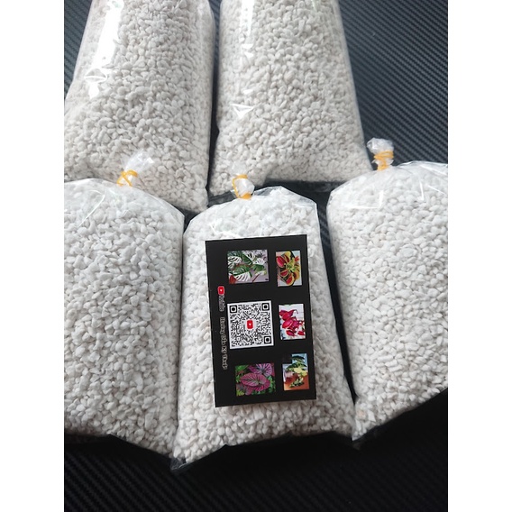 Combo Dớn + Đá perlite trồng cây bắt mồi, cây bẫy kẹp