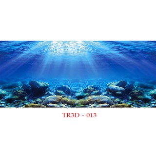 Tranh 3d hồ cá Tr3D-013 kt ( 60,80,90,100,120,150,160 )