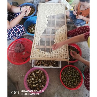 Long nhãn sấy khô Hưng Yên (Loại 1)