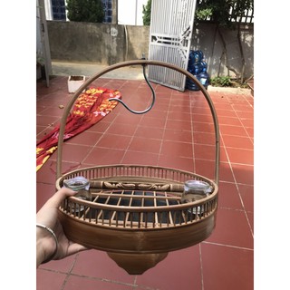 LỒNG CU GÁY TRẦN