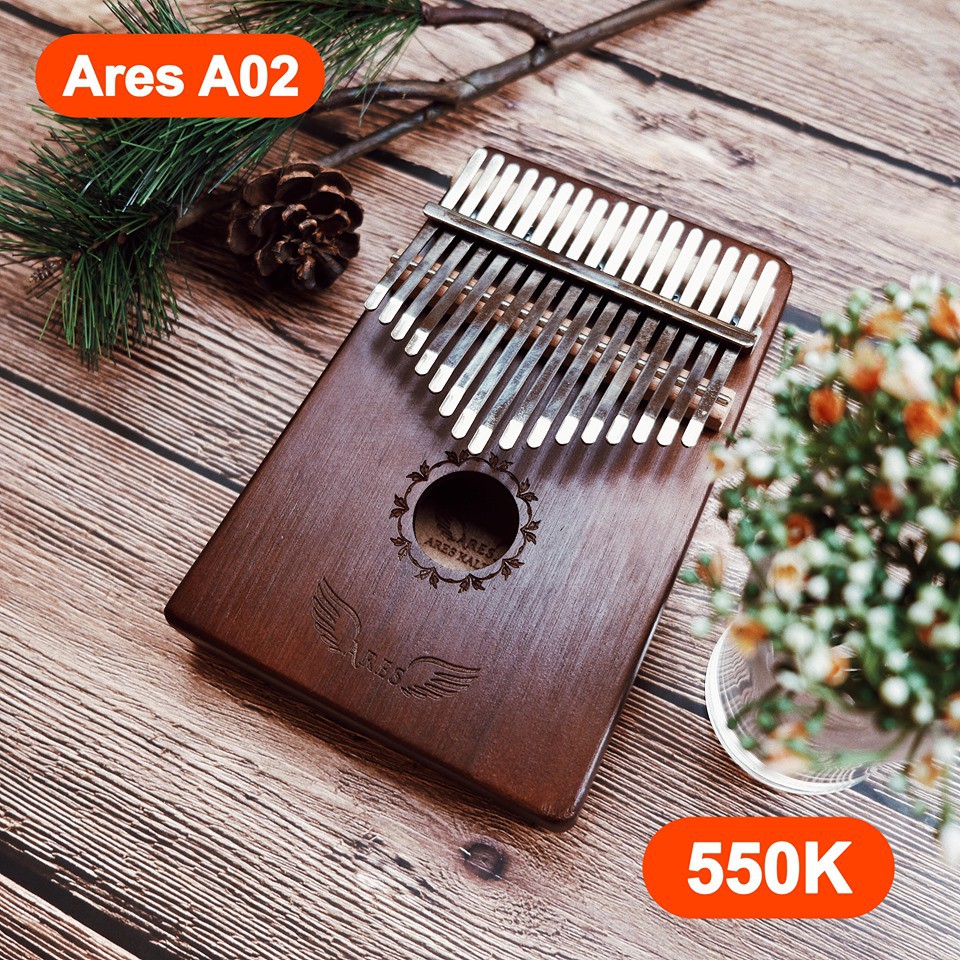 [GIÁ SỐC] Combo đàn Kalimba Ares (KÈM TÚI CHỐNG SỐC K03)