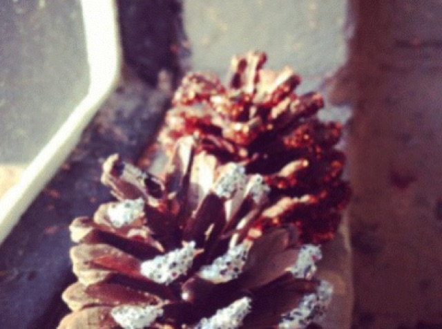 Trái thông khô ( 2 lá, 3lá) - mỹ nghệ - trang trí Noel