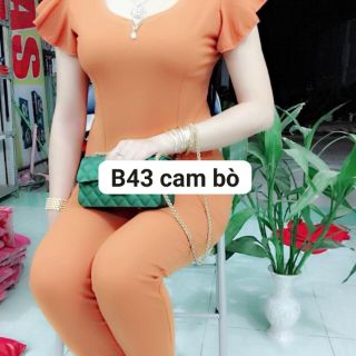 Đồ Bộ Cát Hàn