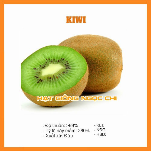 Hạt Giống Quả Kiwi (Hạt Giống Ngọc Chi) - 30 Hạt