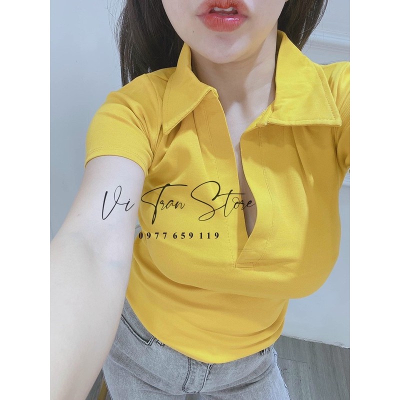 Áo thun body cổ bẻ (form thường) tay ngắn BORIP CAO CẤP