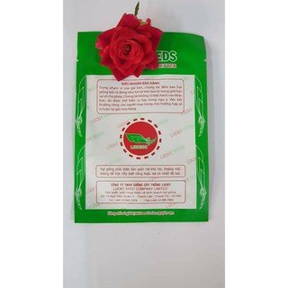 ⭐ HẠT GIỐNG NHÂN SÂM ⭐