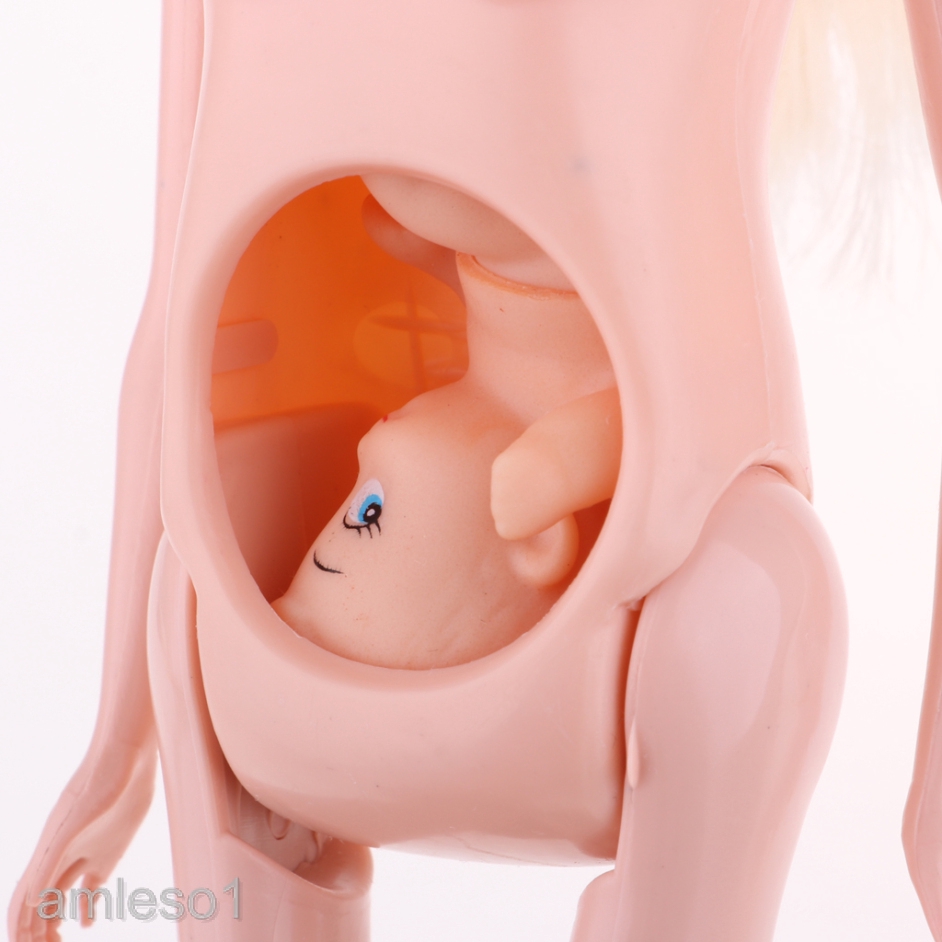 Búp Bê Bé Gái Mang Bầu 1/6