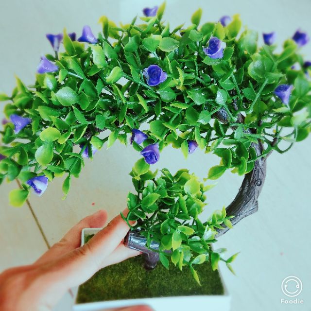 CÂY GIẢ BONSAI HOA RỰC RỠ (kèm chậu) 🌻FREESHIP🌻 Cây giả để bàn - Siêu Đẹp