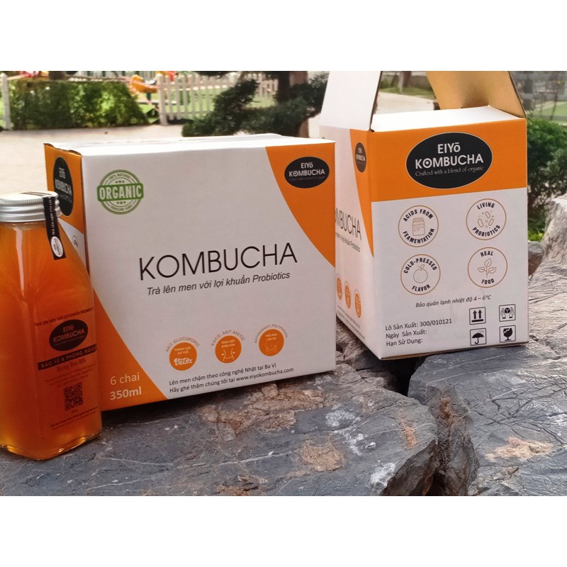 TRÀ KOMBUCHA - BẢO VỆ & PHÒNG NGỪA  HƯƠNG HOA HỔI THÙNG 6 CHAI.