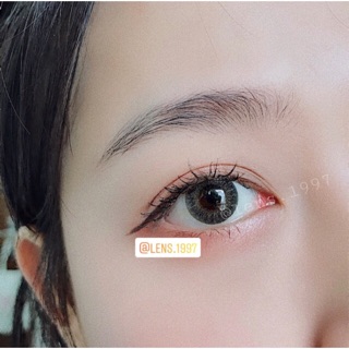 KÍNH ÁP TRÒNG XÁM TRẦM TÂY - LENS FRANCE GRAY