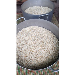 Ngô nếp bung 1kg