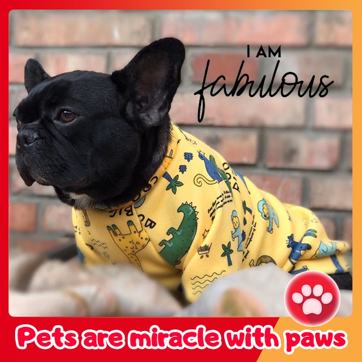 Áo cho Chó Mèo Thú Cưng - Quần Áo Cho Mèo Mùa Đông #Tibo Pet Shop