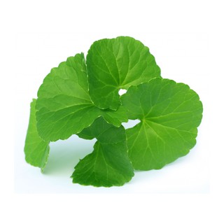 Nước Tẩy Trang Rau Má Centifolia 500ml