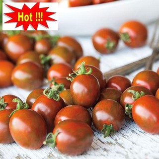 Gói 30 hạt giống cà chua socola