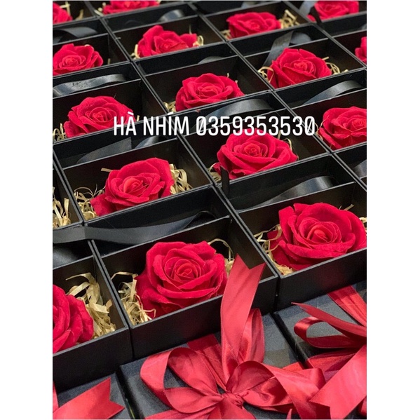 Hộp hoa hồng nhung đựng son kt 13x13.6cm