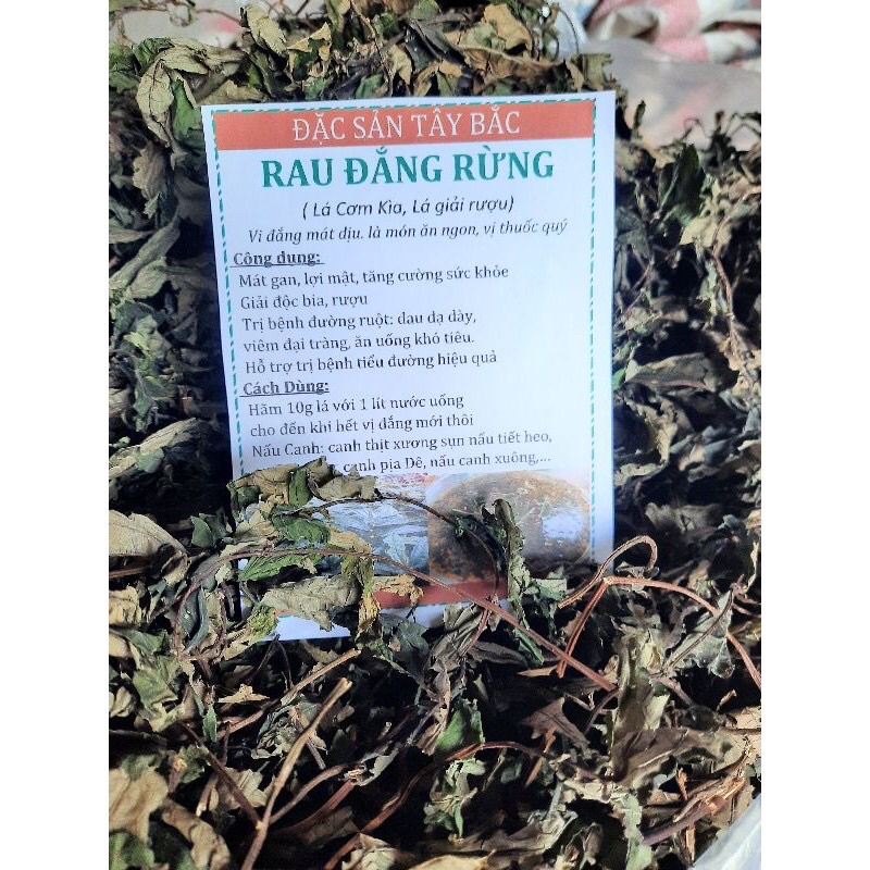 Lá đắng (lá cơm kìa rừng Tây Bắc) HỖ TRỢ GAN MẬT LỢI TIỂU, NHUẬN TRÀNG , TỐT CHO NGƯỜI TIỂU ĐƯỜNG CAO HUYẾT ÁP