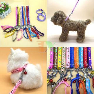 Dây xích chó mèo - Dây xích cổ chó mèo 2 lớp