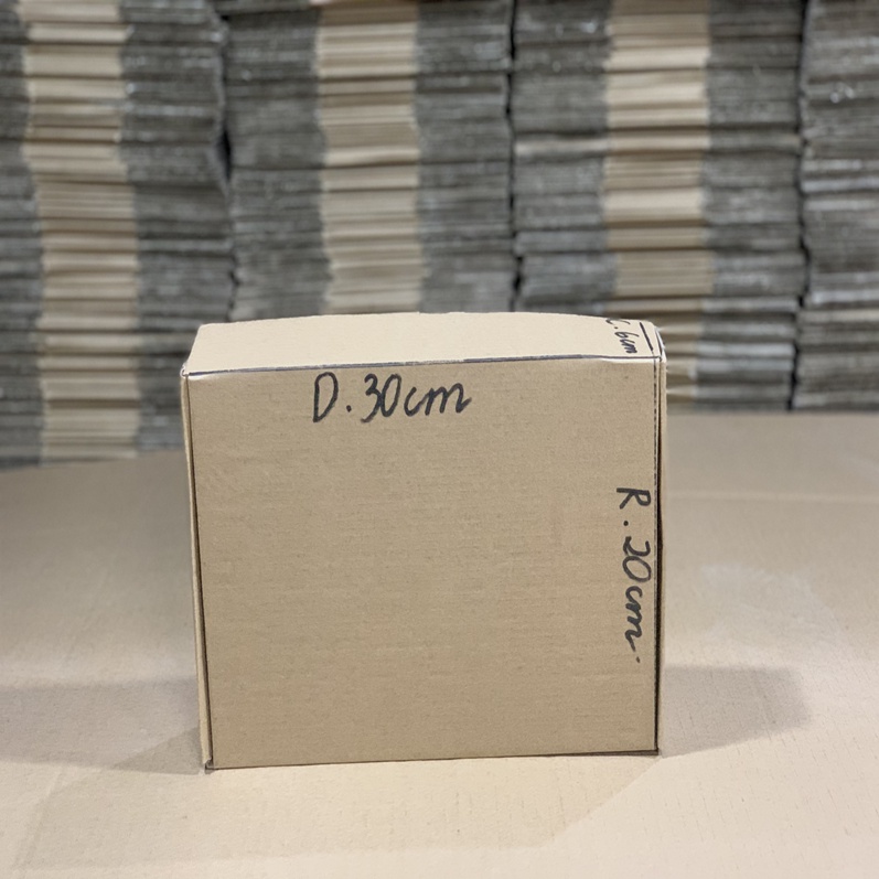 HP - combo 20 Hộp Carton Nắp Gài 30x20x6