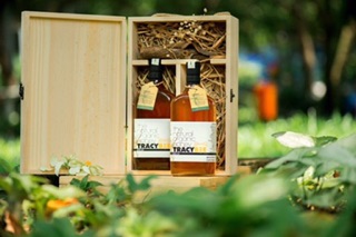 Mật ong nguyên chất Tracy bee 600ml