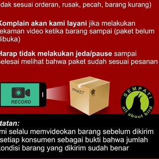 Keo Cao Su Siêu Dính Chống Trầy Xước Cho Sóc / Chim