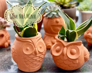 Combo 2 chậu Cú đất nung