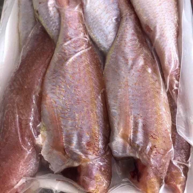 Cá hồng phèn 1 nắng