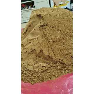 Thính Trắm Đen Tấn Hói