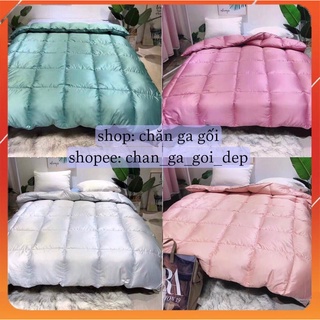 Ruột chăn lông vũ nhân tạo Zara