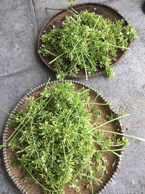 Hoa đu đủ đực khô tươi loại 100g