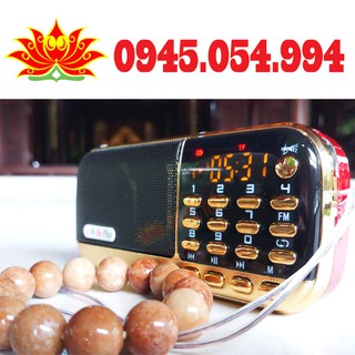 Máy Nghe Giảng Pháp mã sp PT006 (Bảo hành 12 tháng) | Âm Thanh Chất Lượng Cao, Có Đèn 3 Led Cực Sáng