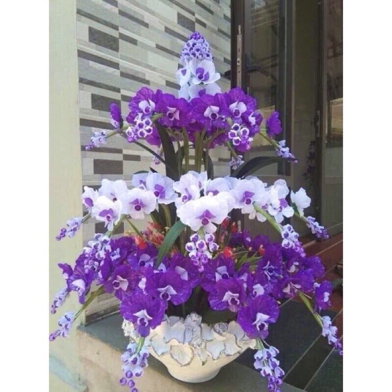 combo hoa cho chị khách