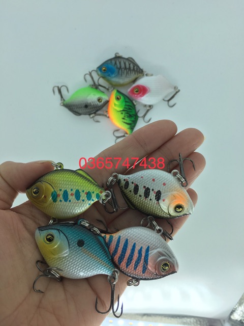 Mồi cá giả có 5bi câu chẽm, cá biển cực nhạy