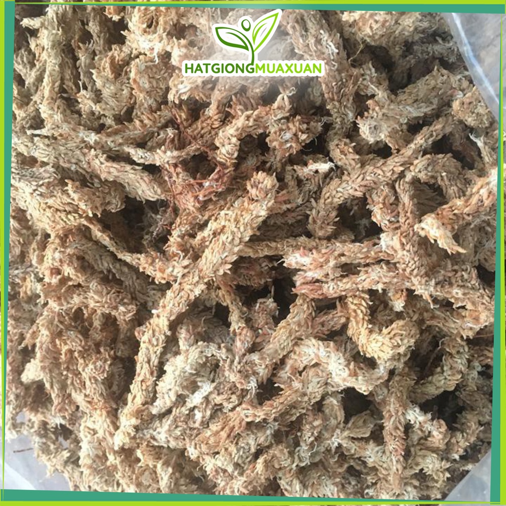 Rêu chile rêu con sâu 1kg nhập khẩu