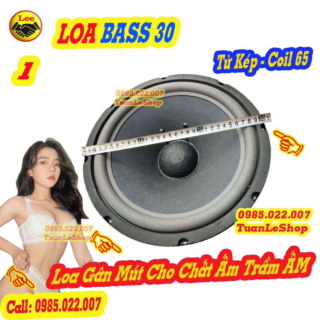 02 LOA BASS 30 GÂN MÚT COIL 65.5 TỪ KÉP KIỂU BMB – GIÁ 02 LOA BASS 3 TẤC TU KEP