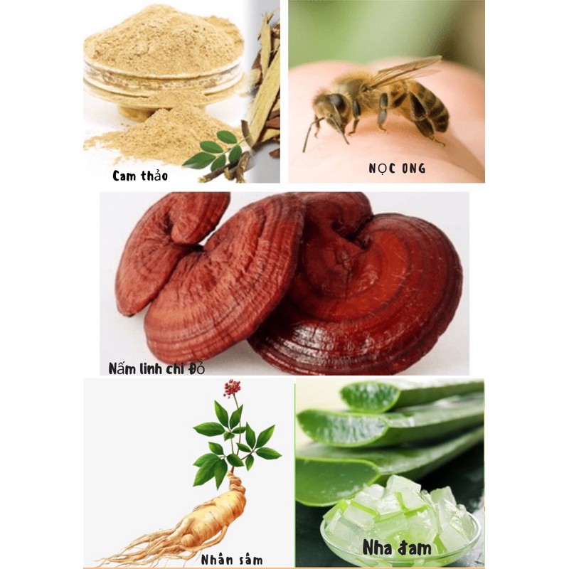 Serum Black Diamond giảm mụn thải độc se khít lcl kiềm dầu chiết xuất nhân sâm và nấm linh chi đỏ 5ml | BigBuy360 - bigbuy360.vn