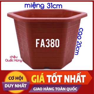 Combo 10 chậu nhựa trồng cây,trồng hoa,trồng rau FA380