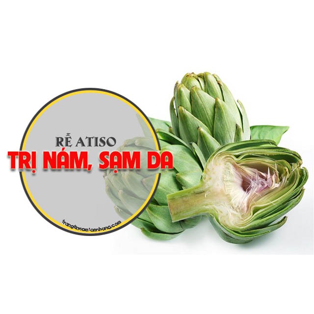 TRÀ ATISO HÔP 100 túi lọc Thượng Hạng LADOPHAR | BigBuy360 - bigbuy360.vn