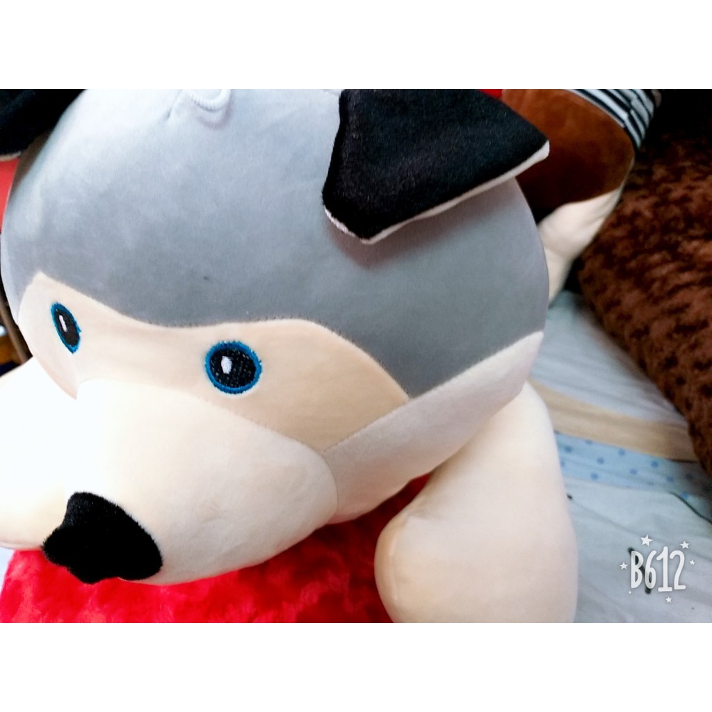 (Rẻ Vô Địch) Gấu Bông Chú Chó Husky 45cm/70cm (Gấu Husky Đẹp Áo Vằn)