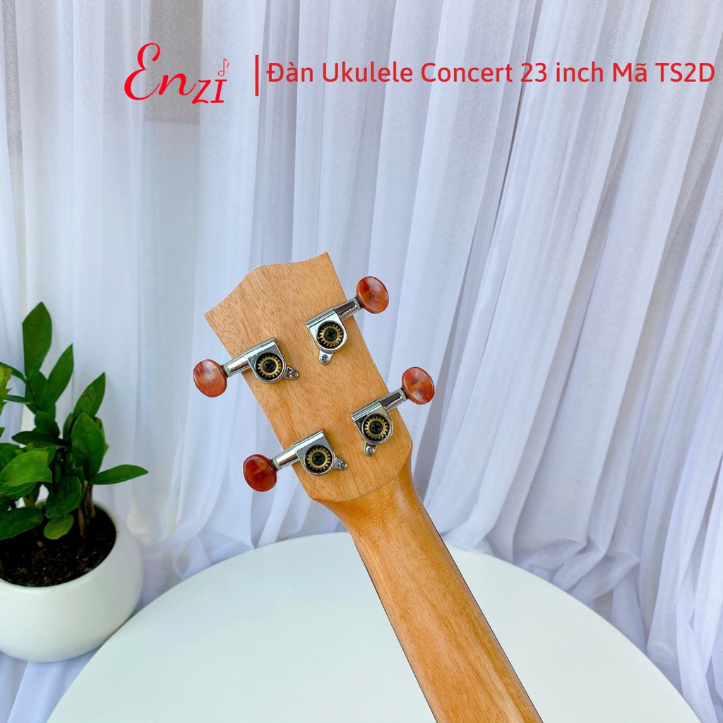 Đàn ukulele concert TS2D Enzi 23 inch gỗ mộc viền mặt trời khóa đúc giá rẻ cho bạn mới bắt đầu tập chơi