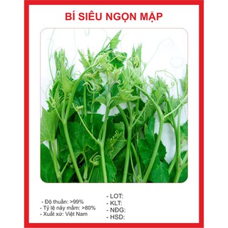 Hạt giống bí ăn ngọn cao sản - 10gr