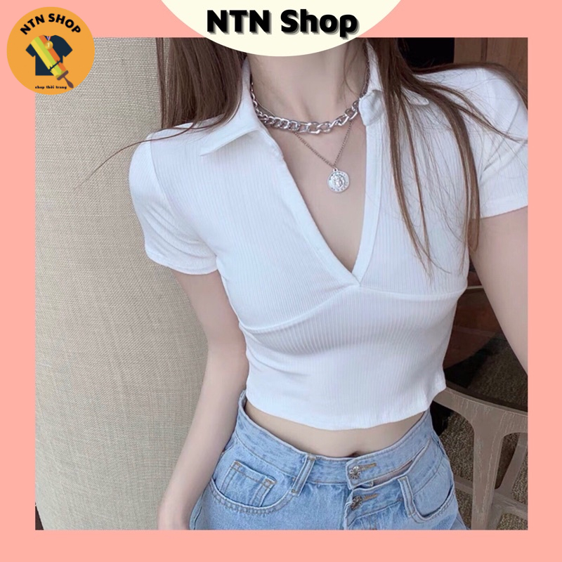 Áo tay ngắn kiểu cổ V  a4