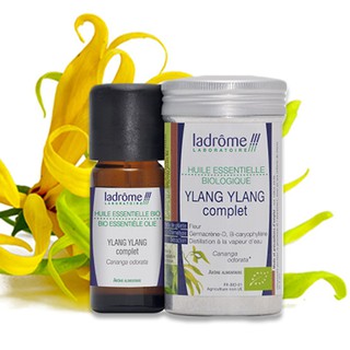Tinh Dầu Organic Ngọc Lan Tây - Ylang Ylang Complet