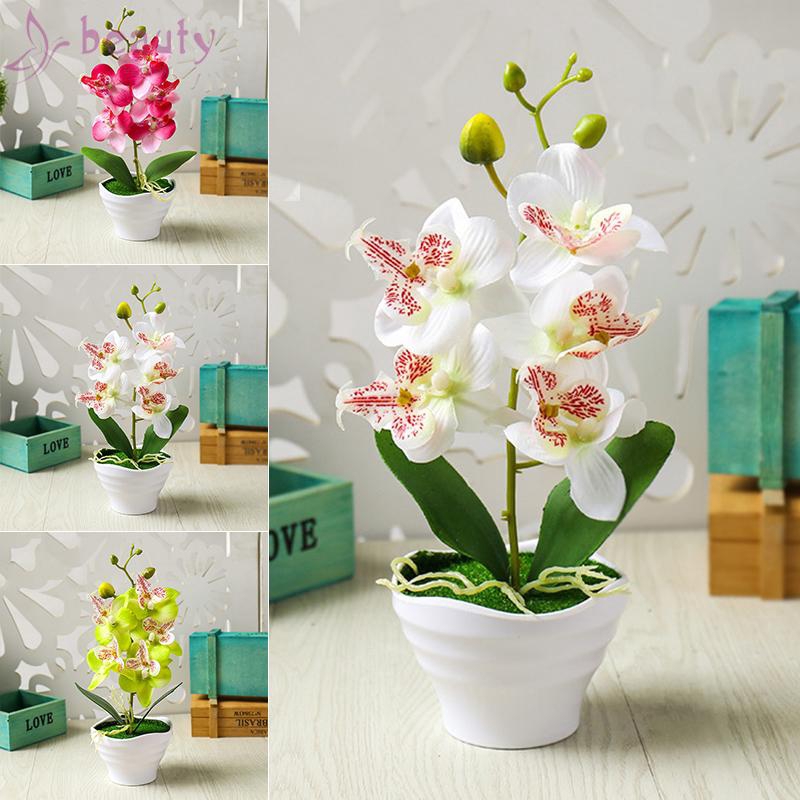 Chậy cây lan hồ điệp bonsai nhân tạo với 5 đầu hoa nhựa trang trí vườn nhà