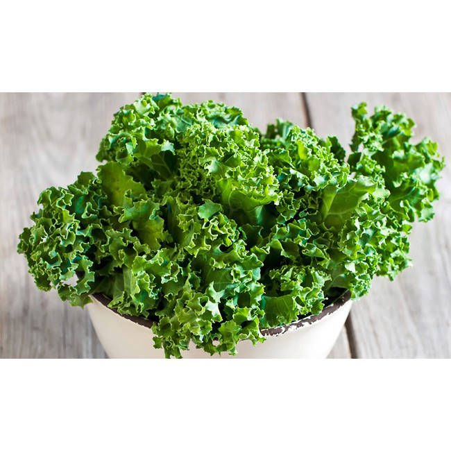( HOT ) Hạt giống cảo xoăn xanh Kale Siêu Lùn cao 40cm gói 1gr