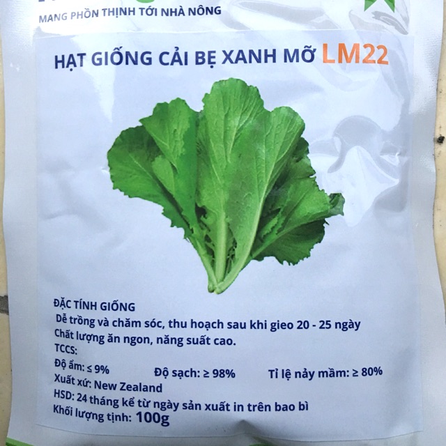 Hạt giống cải bẹ xanh mỡ dễ trồng, trẻ lâu, ăn ngon 50gr