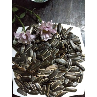 Hạt hướng dương nguyên vị rang tay